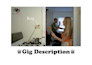 customize this funny pest control video advertisement
